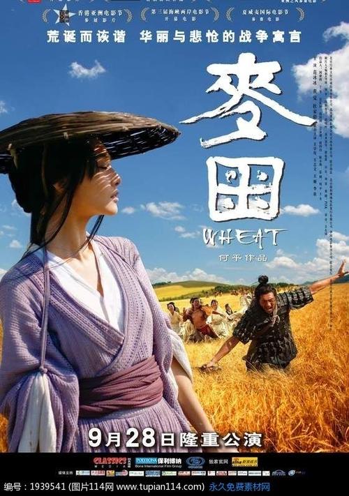 高中毕业证学籍号是什么